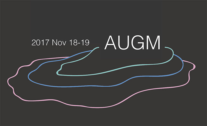 2017 augm l