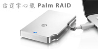 palm-raid-review