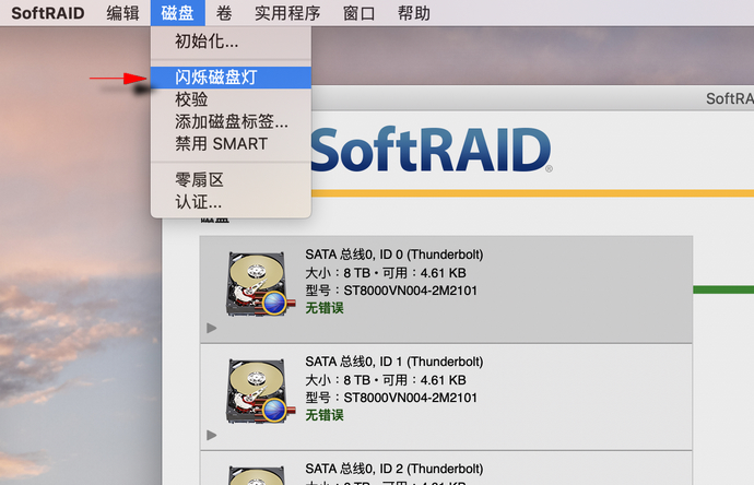 softraid check 03